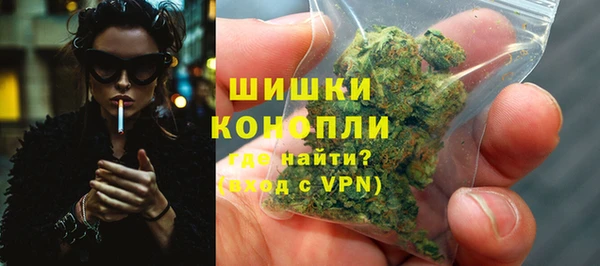 дмт Алзамай