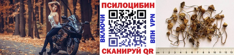 ссылка на мегу рабочий сайт  Амурск  Псилоцибиновые грибы Magic Shrooms 
