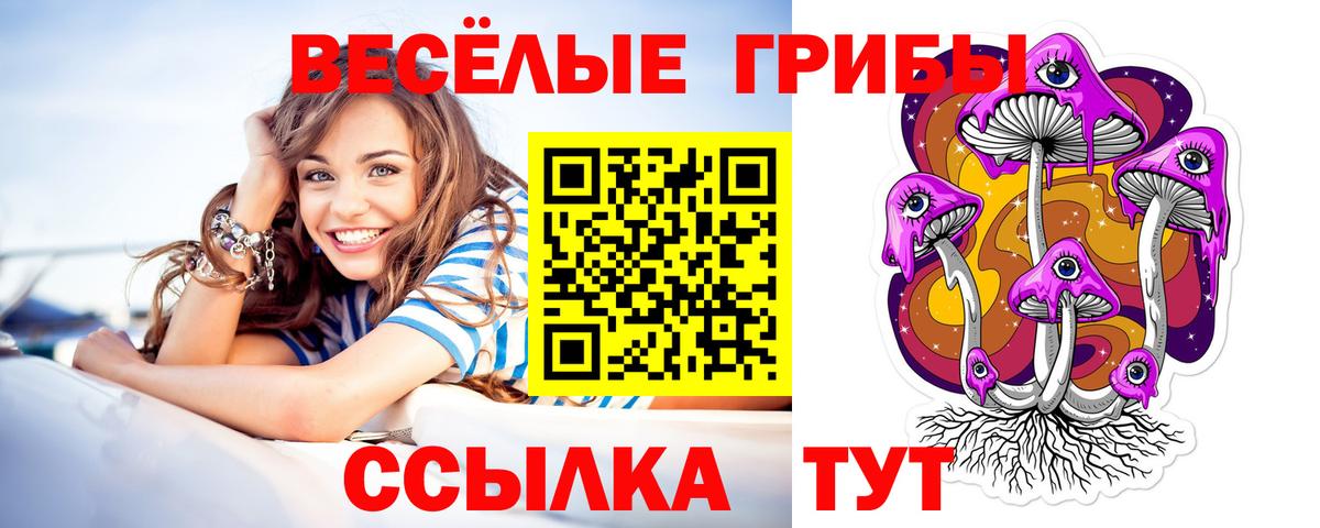 Галлюциногенные грибы MAGIC MUSHROOMS Амурск